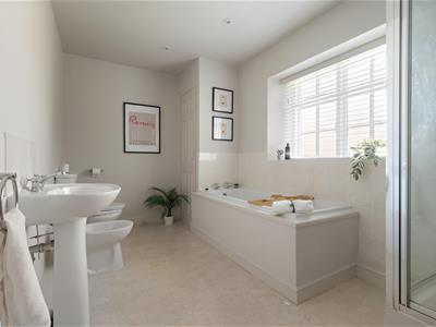 Picture 23
